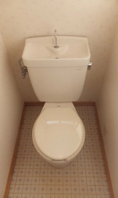 Toilet. Clean toilet space