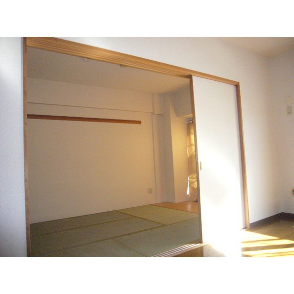 Other room space. Japanese style room