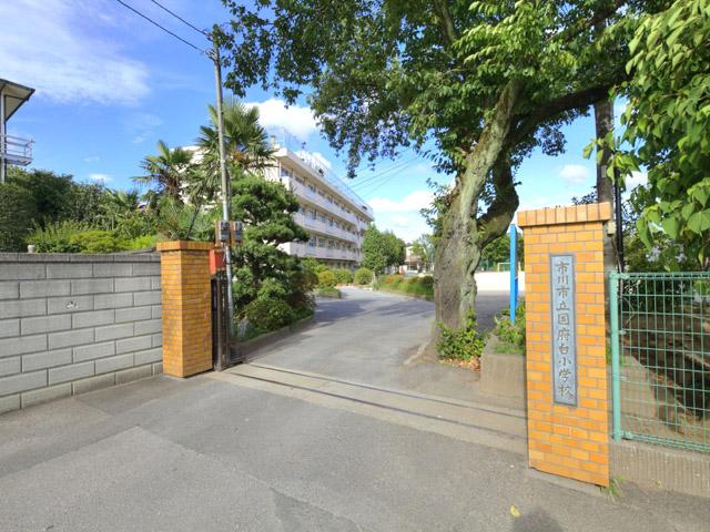 Primary school. Until Ichikawa Municipal Kokufudai Elementary School 320m Ichikawa Municipal Kokufudai Elementary School