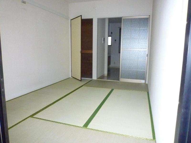 Living and room. Tatami looks good