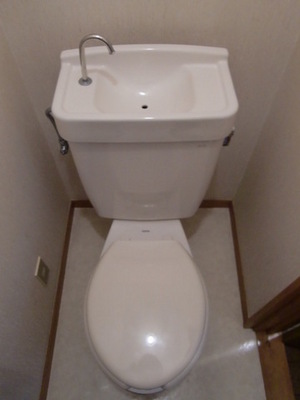 Toilet. It is a toilet with a clean.