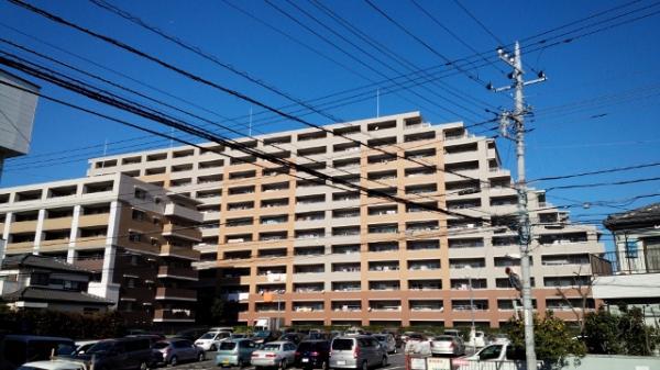 Local appearance photo. Local (December 2013 shooting)