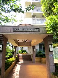 Entrance. Common areas