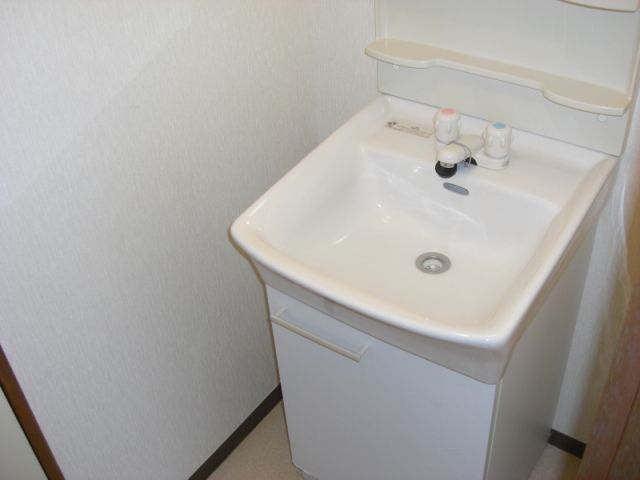 Washroom. Bathroom vanity