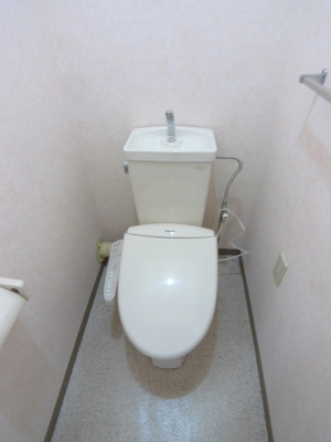 Toilet. Toilet