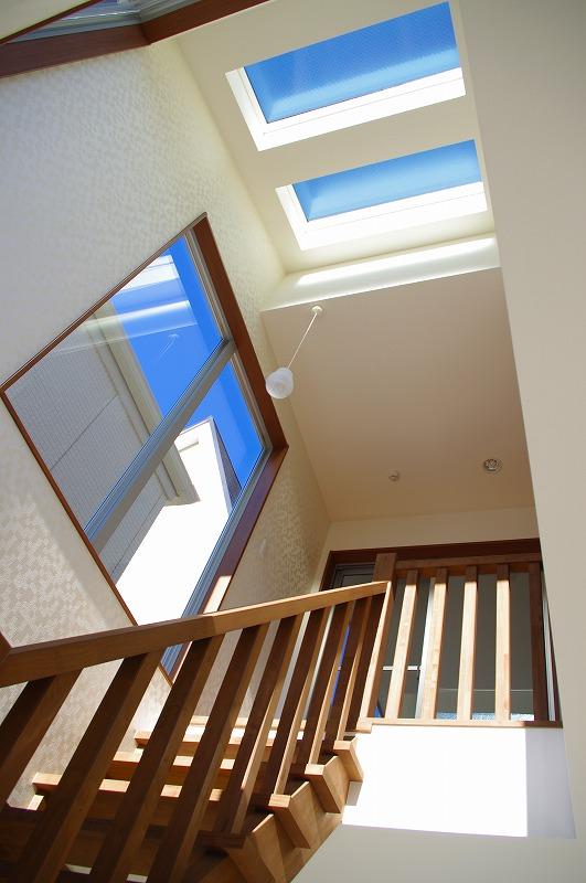 Living. Strip is a staircase and atrium!