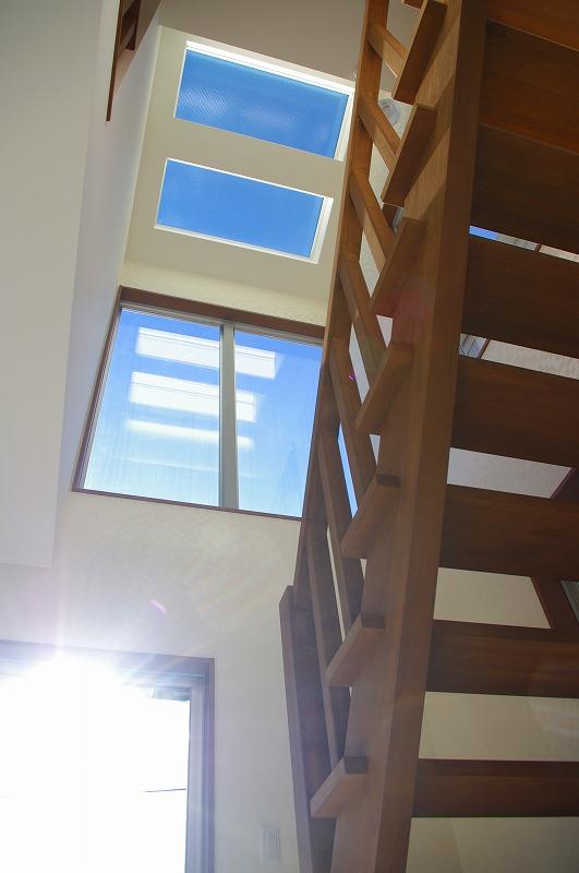 Living. Lighting will insert from the blow and the top light of living!