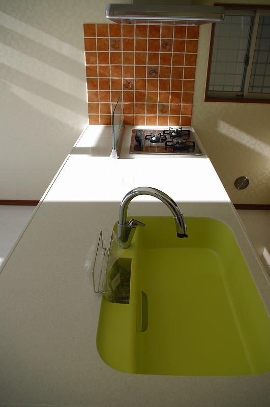 Other Equipment. Popular open kitchen! Dishwasher, water filter, Glass top stove is standard construction work!