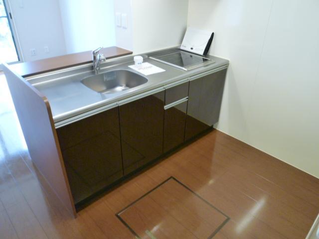 Kitchen. Spacious space under the floor 2-neck is of IH