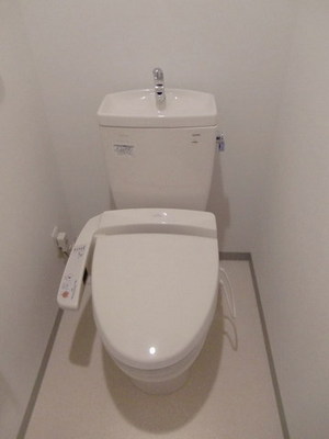 Toilet. Toilet is with a bidet. 