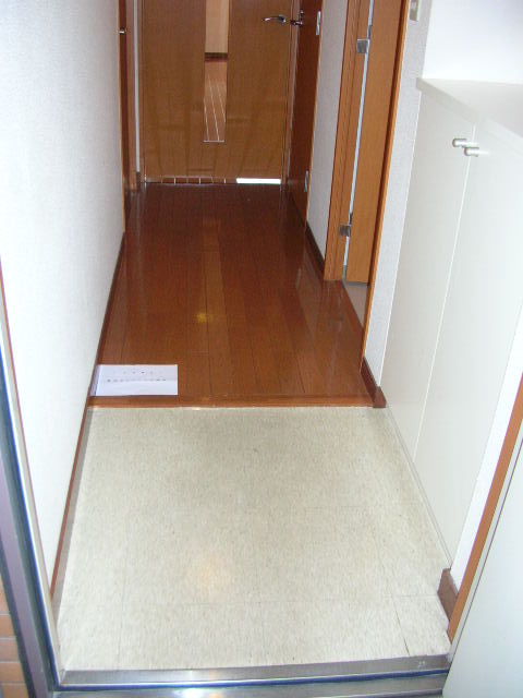 Entrance. Same specifications room