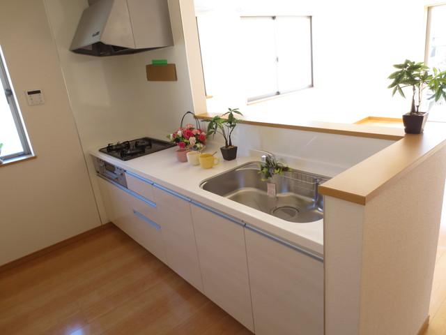 Same specifications photo (kitchen). Same specification kitchen