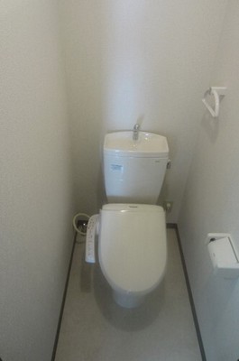 Toilet. Washlet toilet.