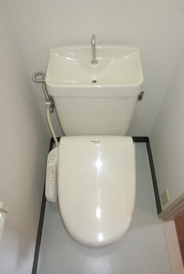 Toilet. It is a warm water washing toilet seat.