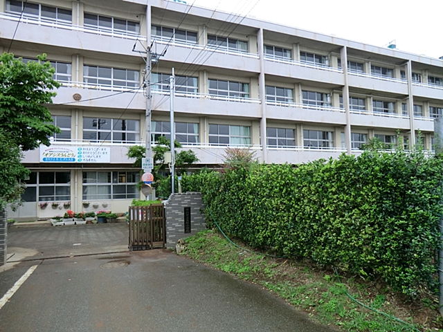 Primary school. 359m until Ichikawa Municipal Omachi elementary school (elementary school)