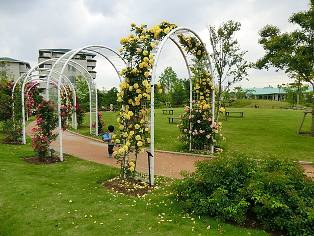 park. 2230m to the east Matsudo Yui of flower park (park)