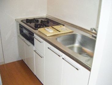 Kitchen. In with a three-necked gas stove, The dishes will be fun