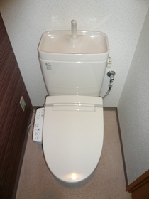 Toilet. This cleaning function with a toilet seat of the new! !