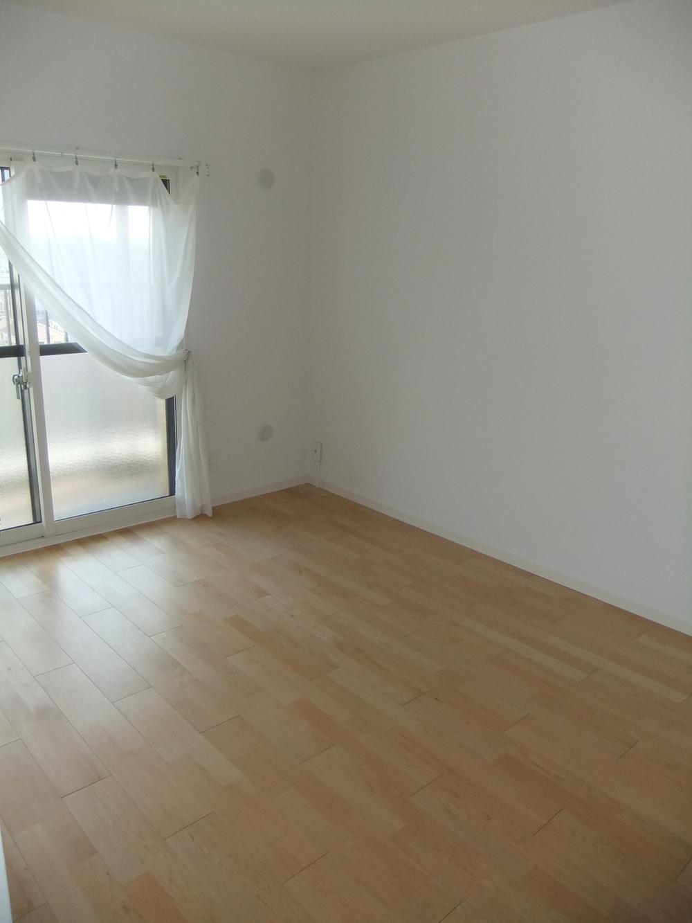 Other introspection. Room (August 2013) Shooting