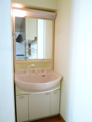 Washroom. Shampoo dresser is also a wash basin to clean used there.