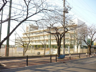 Primary school. Municipal Sodani to elementary school (elementary school) 240m