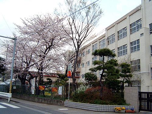 Primary school. 320m until Ichikawa City wealth Mihama Elementary School