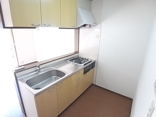 Kitchen. Face-to-face kitchen, of course system Kitchen ^^ Spacious away - use it or