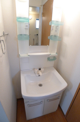 Washroom. Bathroom vanity