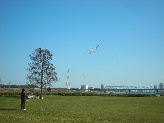 Other Environmental Photo. 400m until the Edogawa river