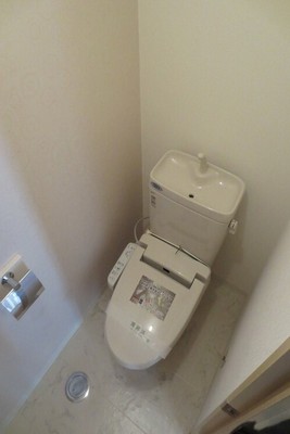 Toilet. Washlet toilet