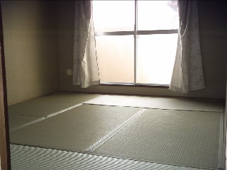Living and room. Japanese-style room.