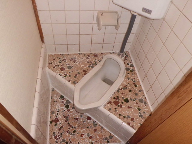 Toilet