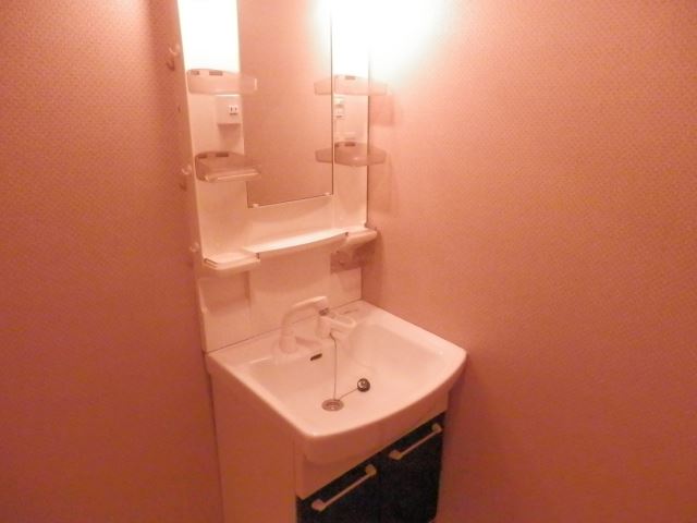 Washroom. Bathroom Vanity