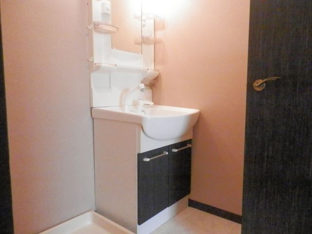 Washroom. Bathroom Vanity