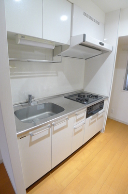 Kitchen. System K (gas three-necked)