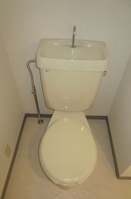 Toilet. Beautiful toilet