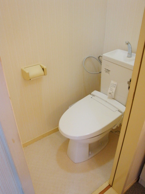 Toilet. Western-style toilet with a cleaning toilet seat