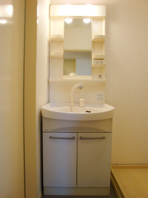 Washroom. There is a vanity with a shower head.