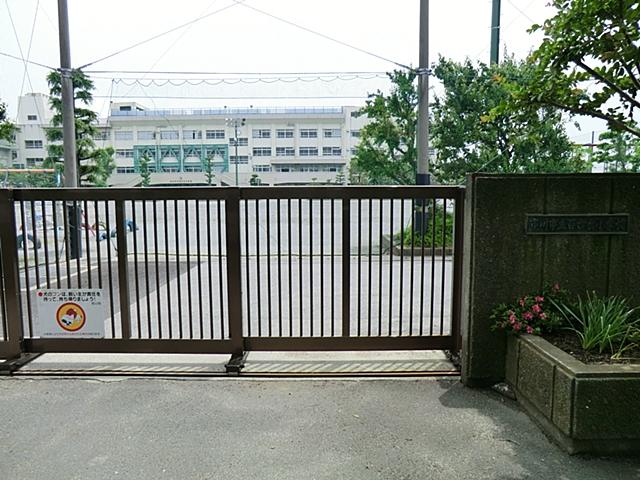 Primary school. 1150m to Ichikawa City lilies stand elementary school