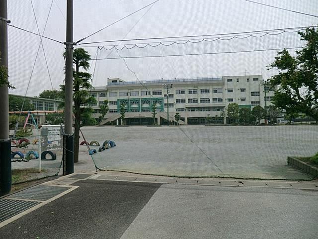 Primary school. 1070m to Ichikawa City lilies stand elementary school