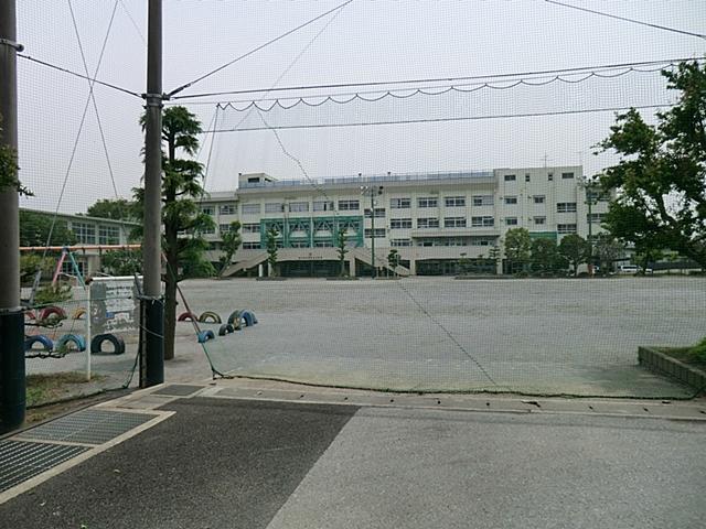 Primary school. 883m until Ichikawa Municipal lilies stand elementary school