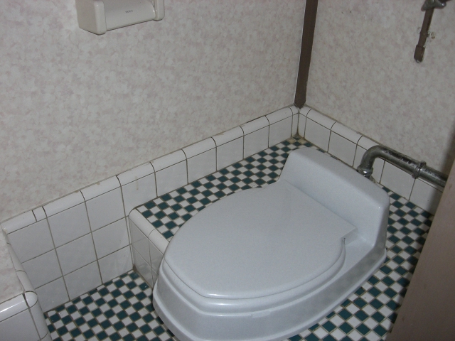 Toilet