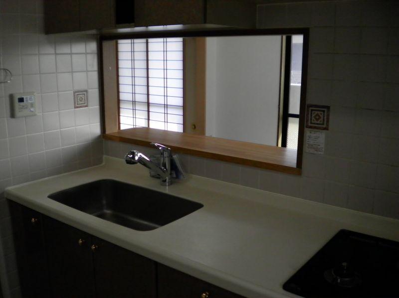 Kitchen. Popular face-to-face kitchen