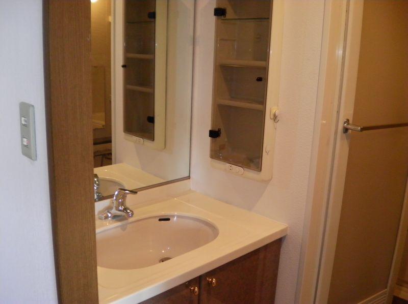 Wash basin, toilet. Bathroom vanity