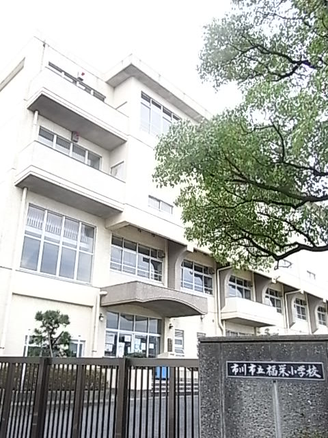 Primary school. 732m until Ichikawa Municipal Fukuei elementary school (elementary school)