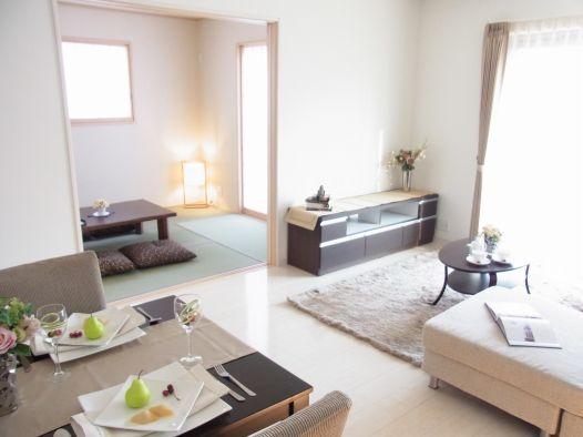 Same specifications photos (living). Living is the example of construction (furniture is not attached)
