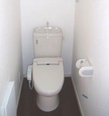Toilet. Toilet construction cases