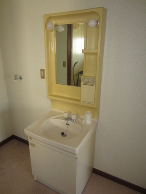 Washroom. Oversized wash basin