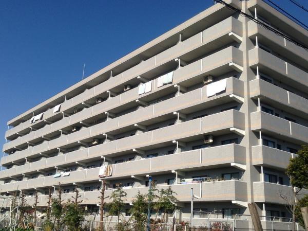 Local appearance photo. appearance / December 2013 shooting