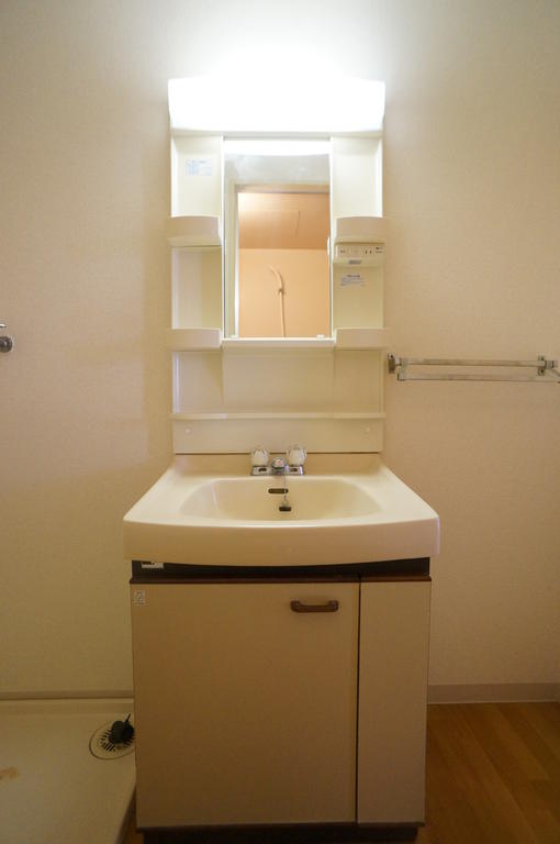 Washroom. Bathroom vanity